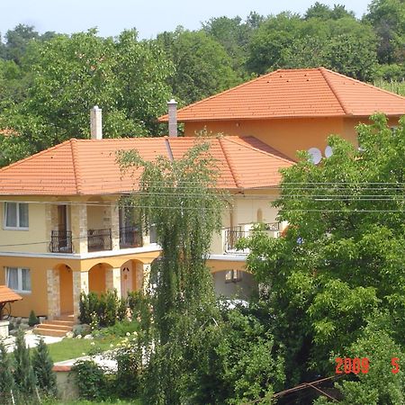 Janus Apartman Sárvár Esterno foto